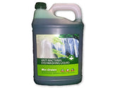 Biogreen Dishwashing Liquid