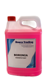 Bosca Boronia Disinfectant 5L